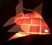 Palm Fish - Fairy Lights